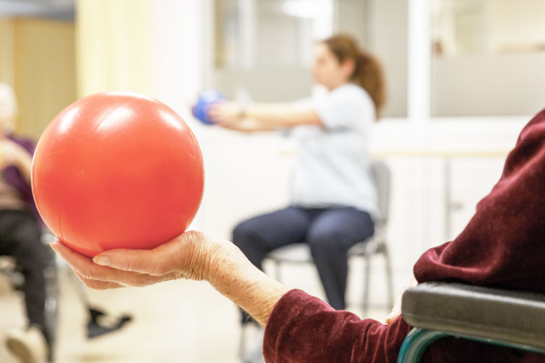 physio_0011.jpg